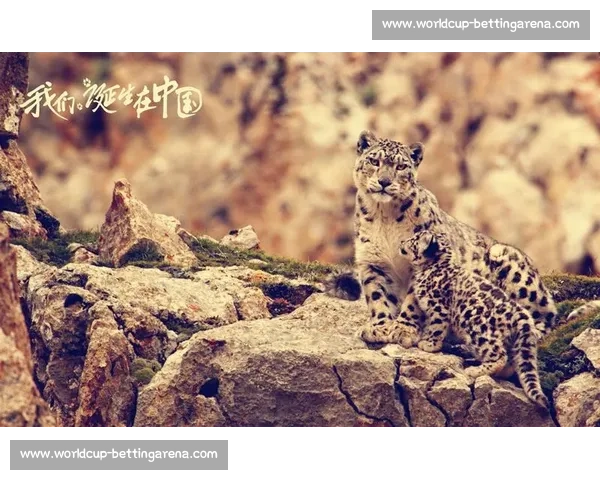 TI中国军团再创辉煌，新纪录诞生！