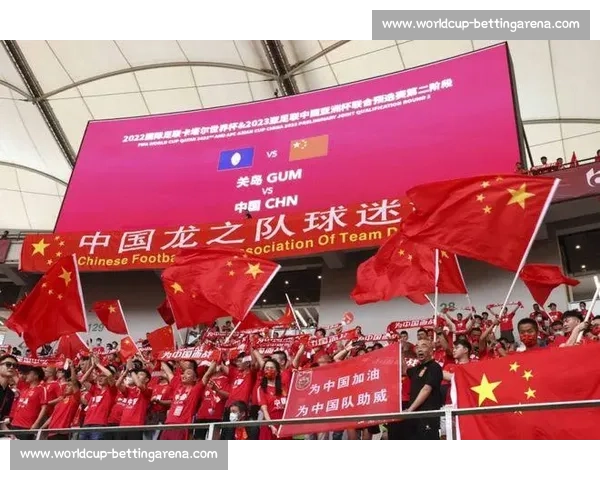 球迷狂欢夜!为支持的球队呐喊助威,世界杯的热情点燃全球! 球迷狂欢夜!为支持的球队呐喊助威,世界杯的热情点燃全球!